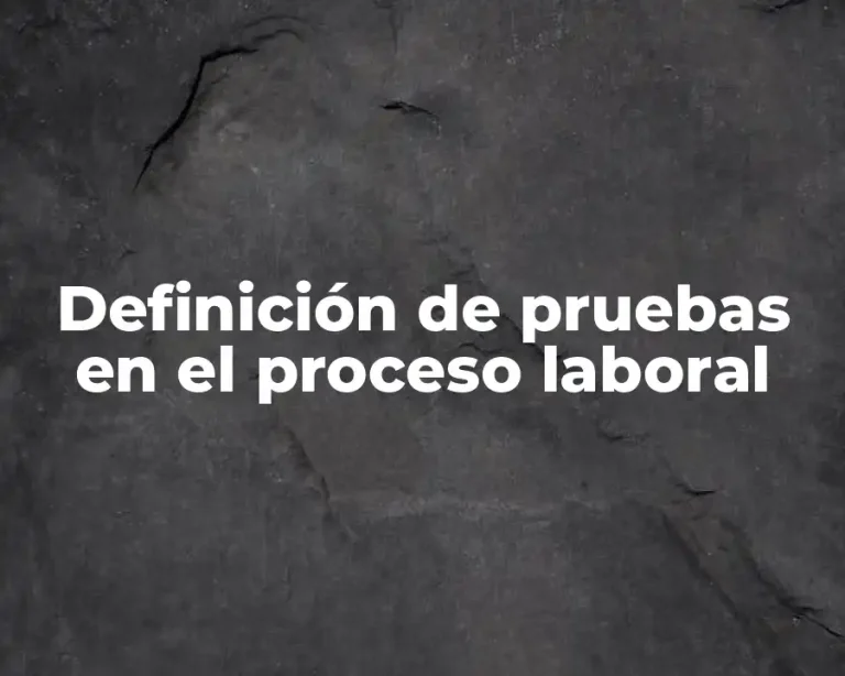 Definición de pruebas en el proceso laboral