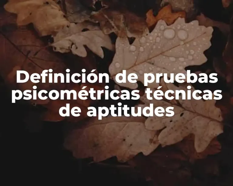 Definición de pruebas psicométricas técnicas de aptitudes