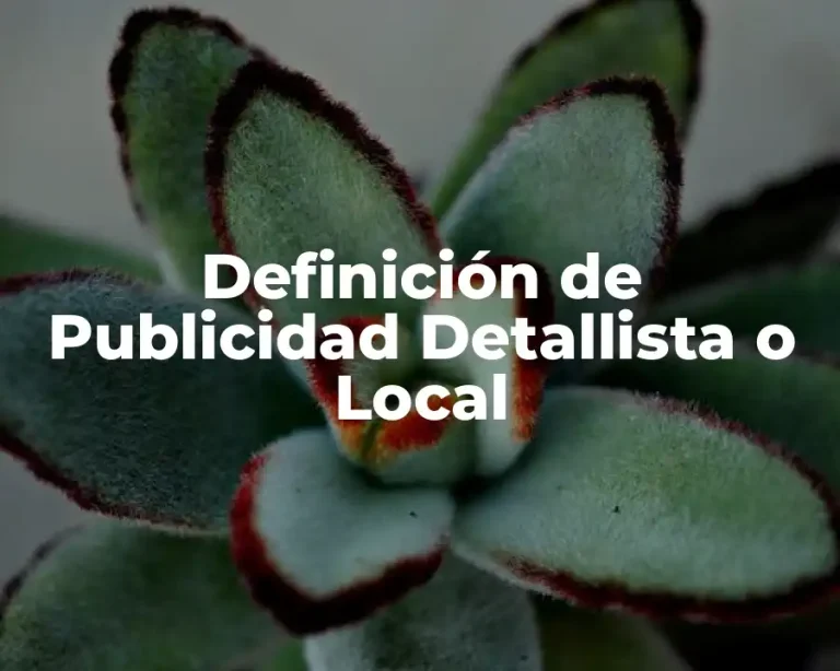 Definición de Publicidad Detallista o Local