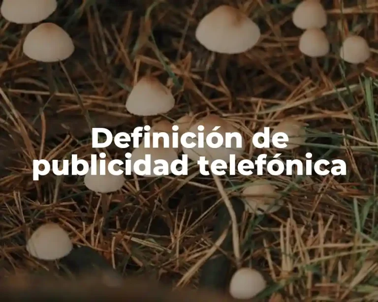 Definición de publicidad telefónica