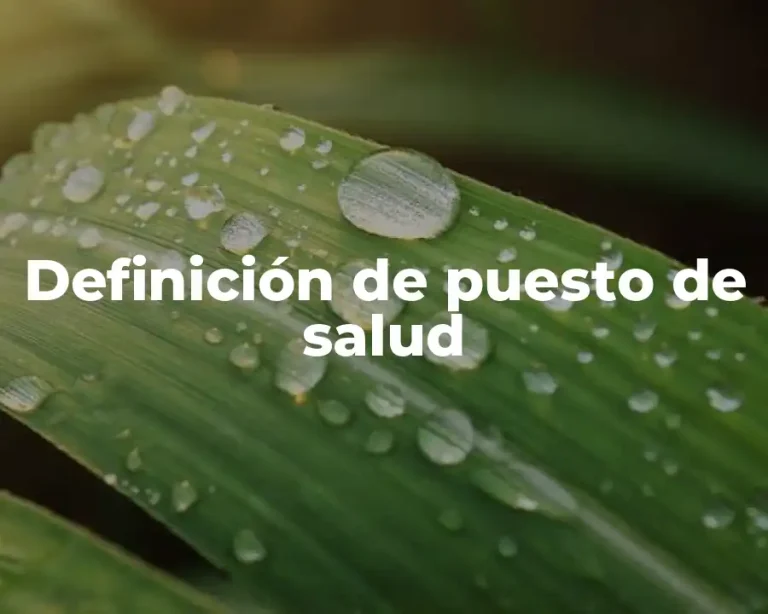 Definición de puesto de salud