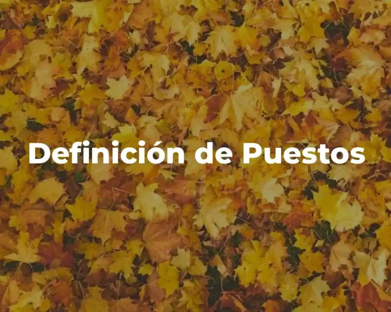 Definición de Puestos