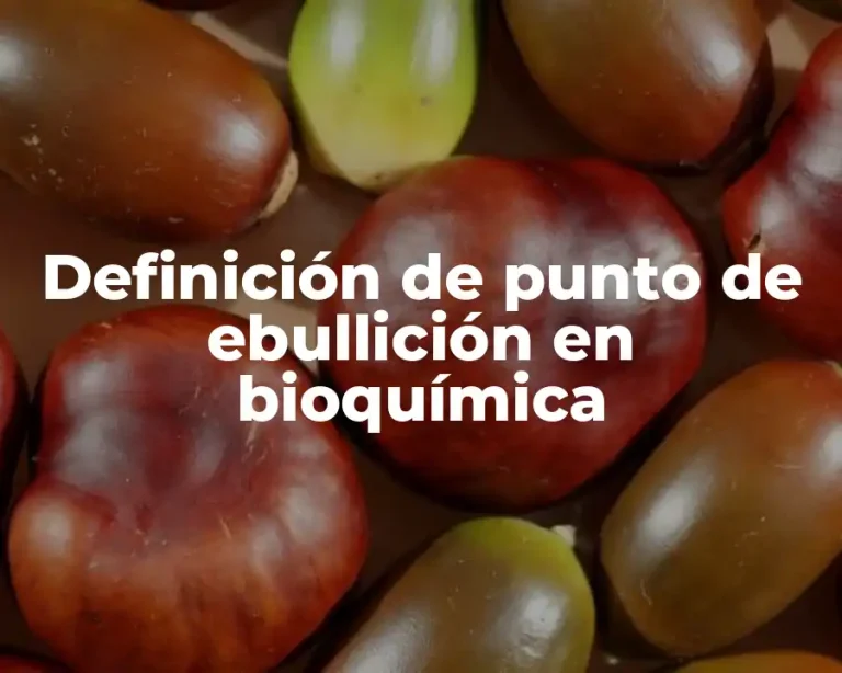 Definición de punto de ebullición en bioquímica