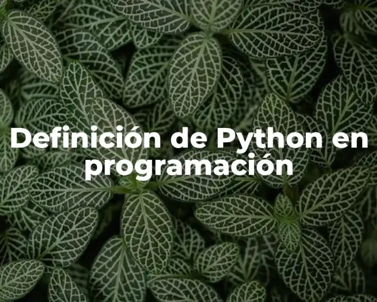 Definición de Python en programación