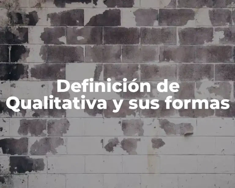Definición de Qualitativa y sus formas