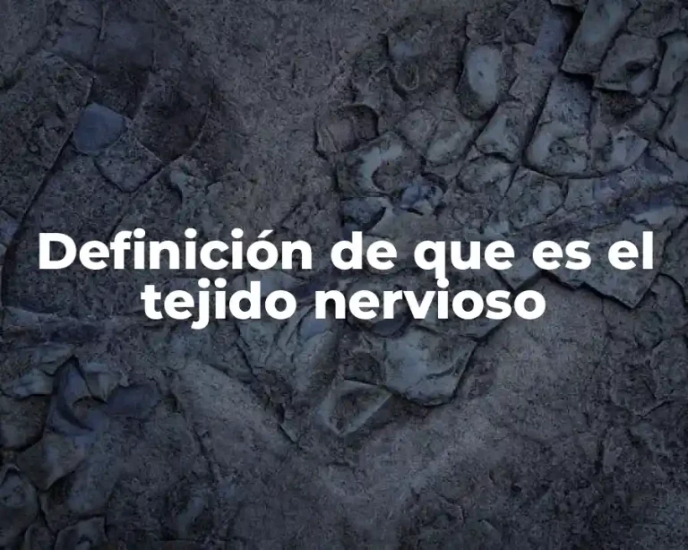 Definición de que es el tejido nervioso