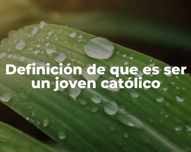 Definición de que es ser un joven católico