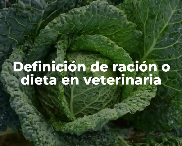 Definición de ración o dieta en veterinaria