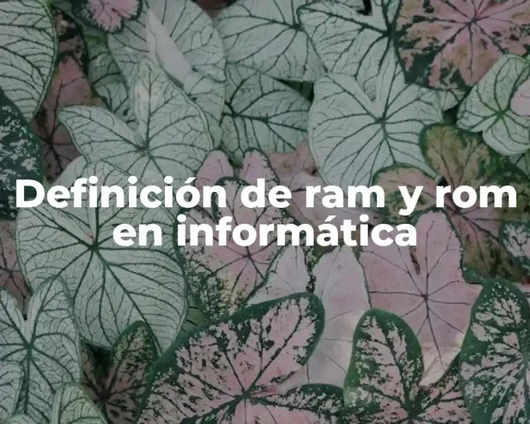 Definición de ram y rom en informática