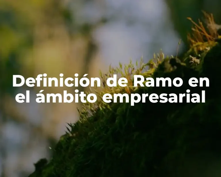 Definición de Ramo en el ámbito empresarial