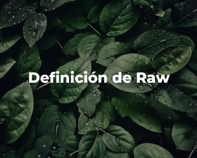 Definición de Raw