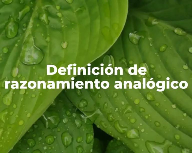 Definición de razonamiento analógico