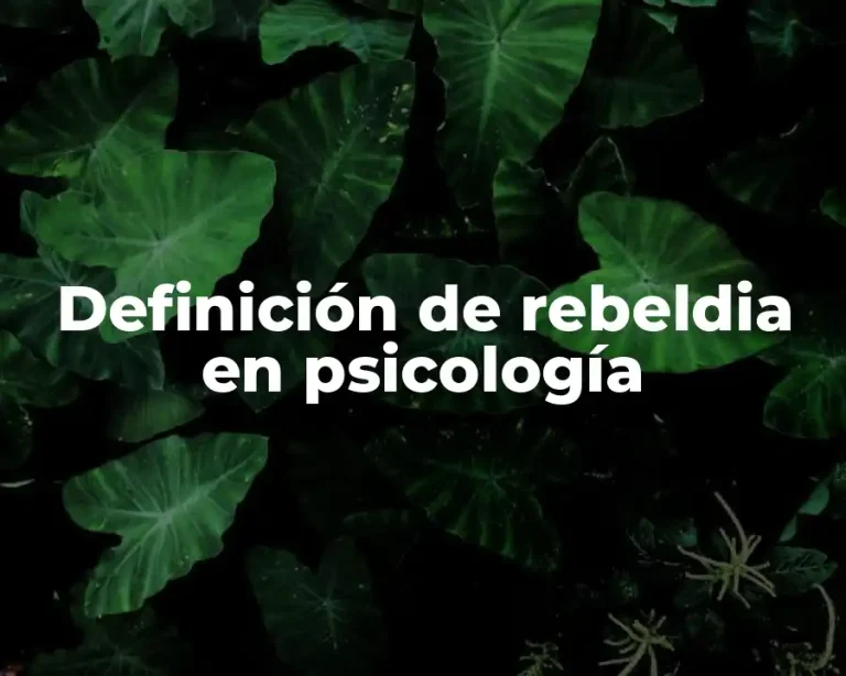 Definición de rebeldia en psicología