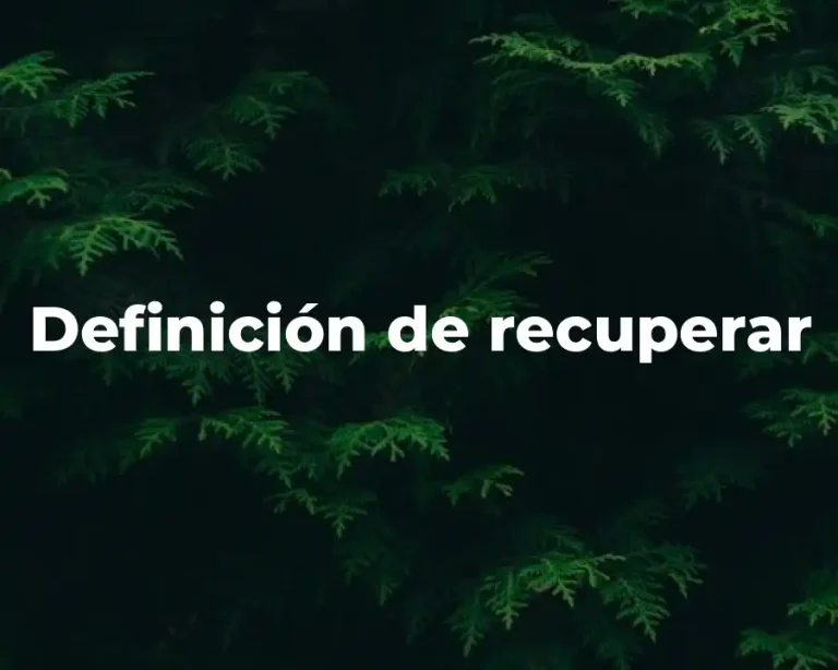 Definición de recuperar