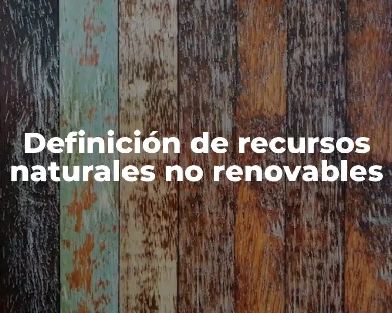 Definición de recursos naturales no renovables