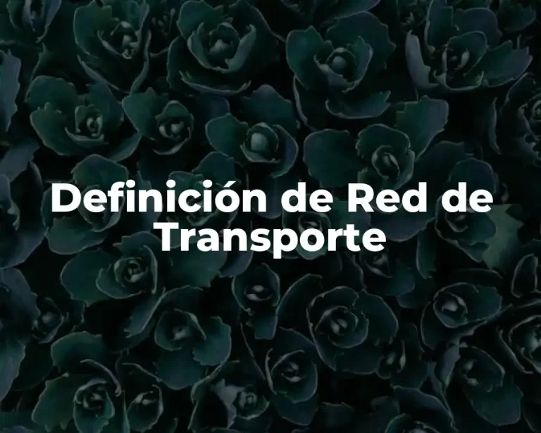 Definición de Red de Transporte
