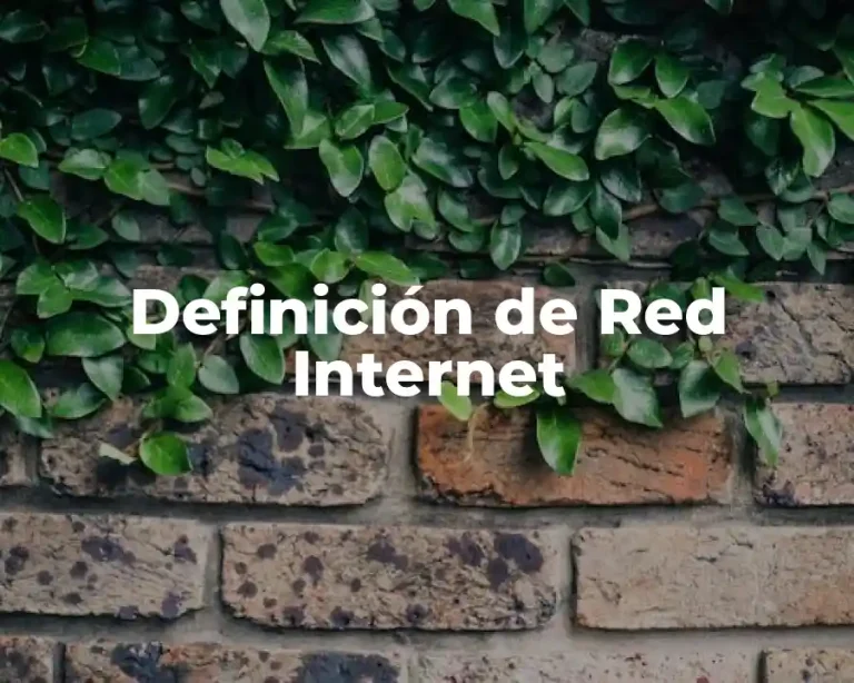 Definición de Red Internet