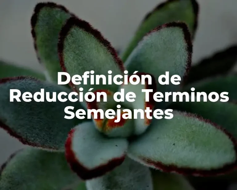 Definición de Reducción de Terminos Semejantes