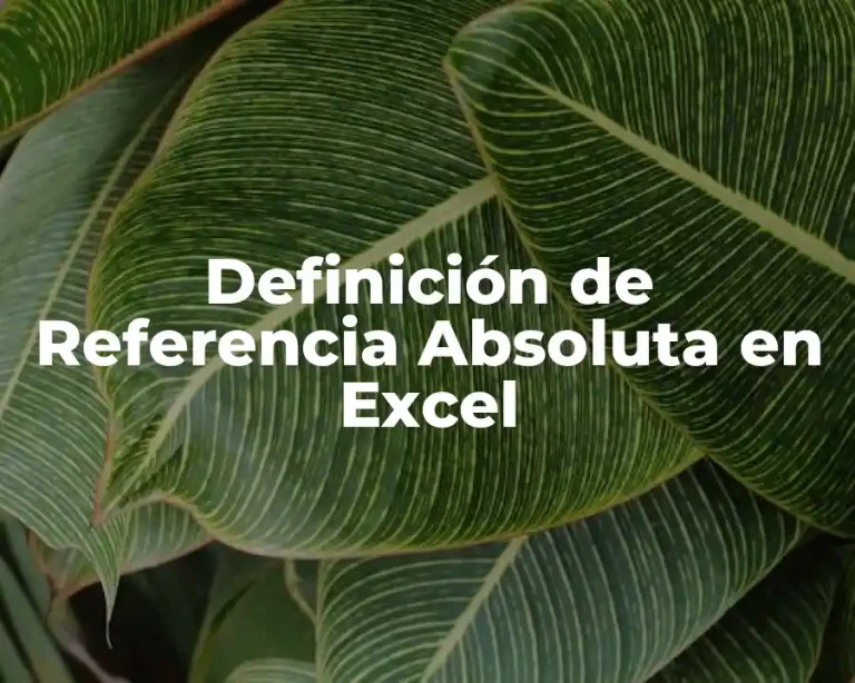 Definición de Referencia Absoluta en Excel