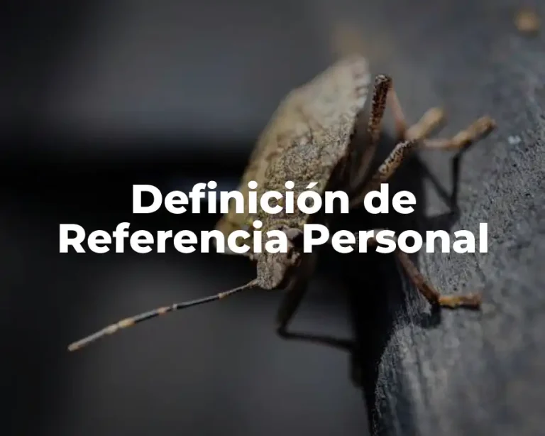 Definición de Referencia Personal