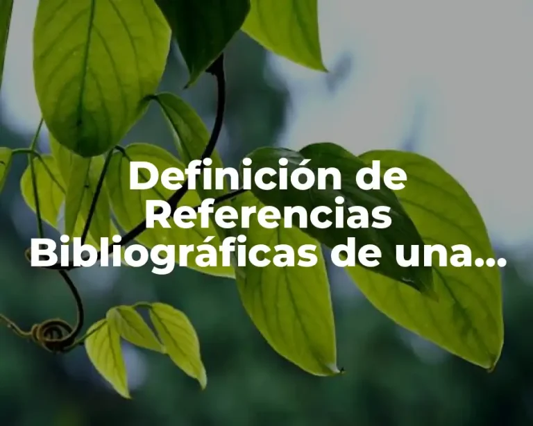 Definición de Referencias Bibliográficas de una Tesis de Ingeniería Química