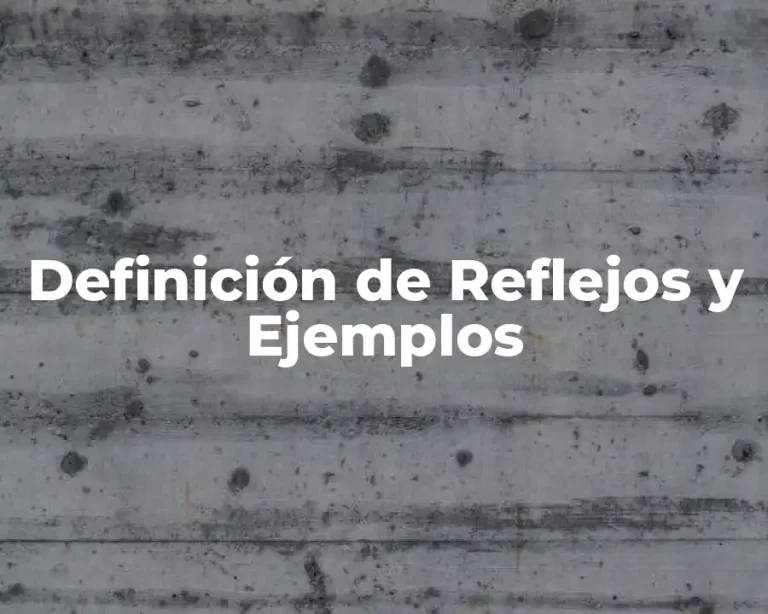 Definición de Reflejos y Ejemplos