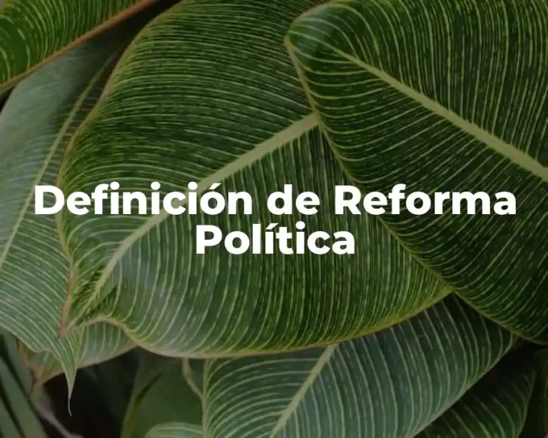 Definición de Reforma Política