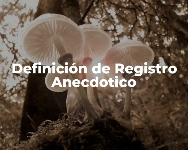 Definición de Registro Anecdotico