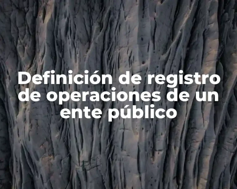 Definición de registro de operaciones de un ente público