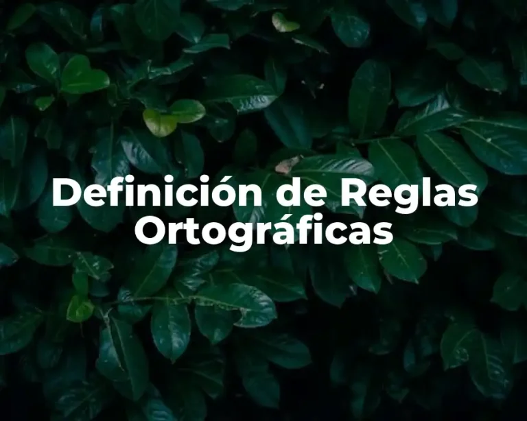 Definición de Reglas Ortográficas