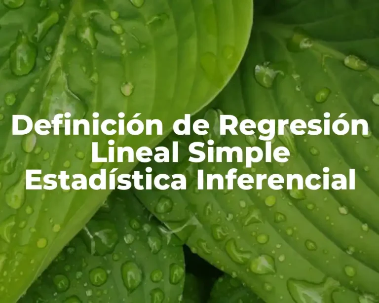 Definición de Regresión Lineal Simple Estadística Inferencial