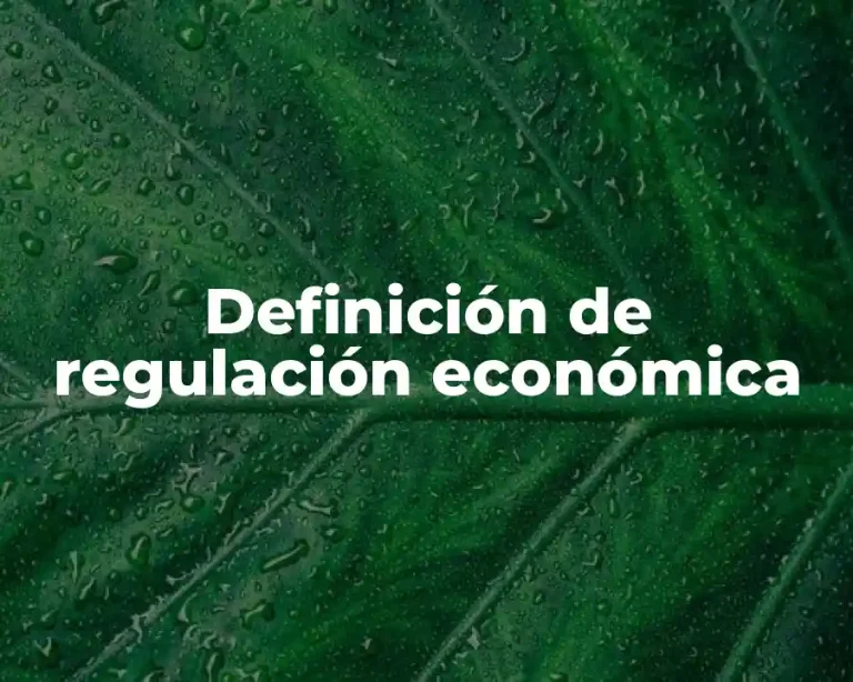 Definición de regulación económica