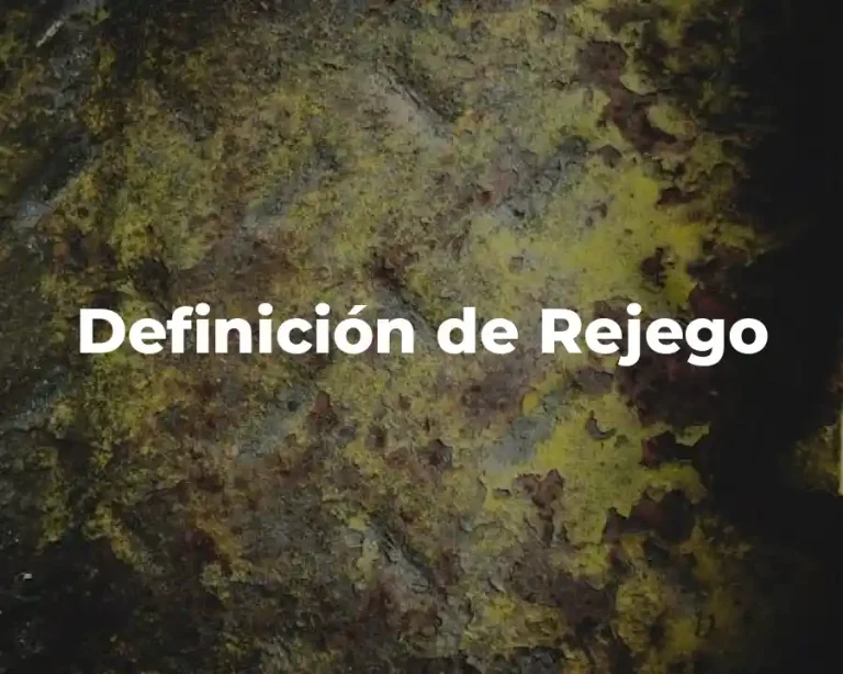 Definición de Rejego
