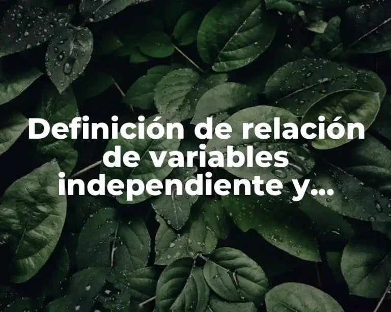 Definición de relación de variables independiente y dependiente