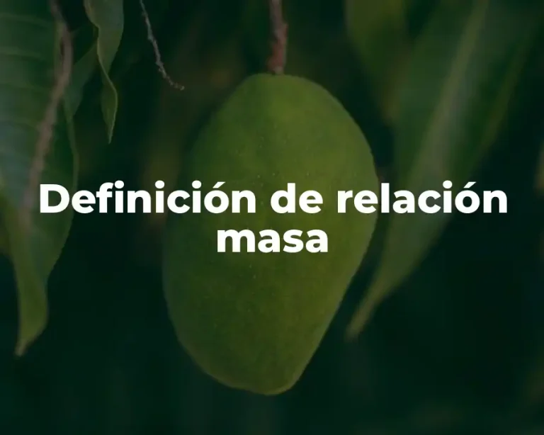 Definición de relación masa