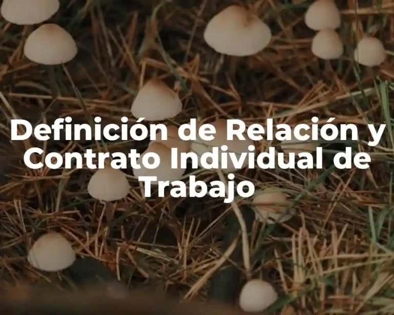 Definición de Relación y Contrato Individual de Trabajo