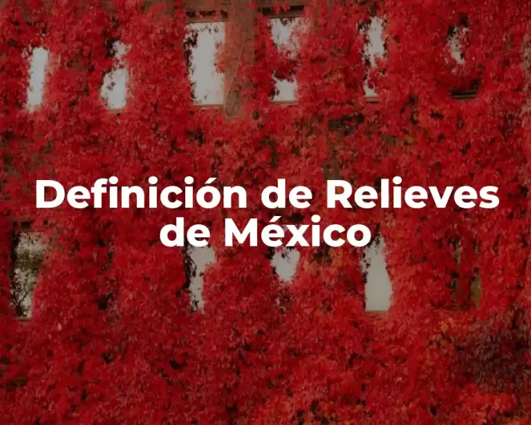 Definición de Relieves de México