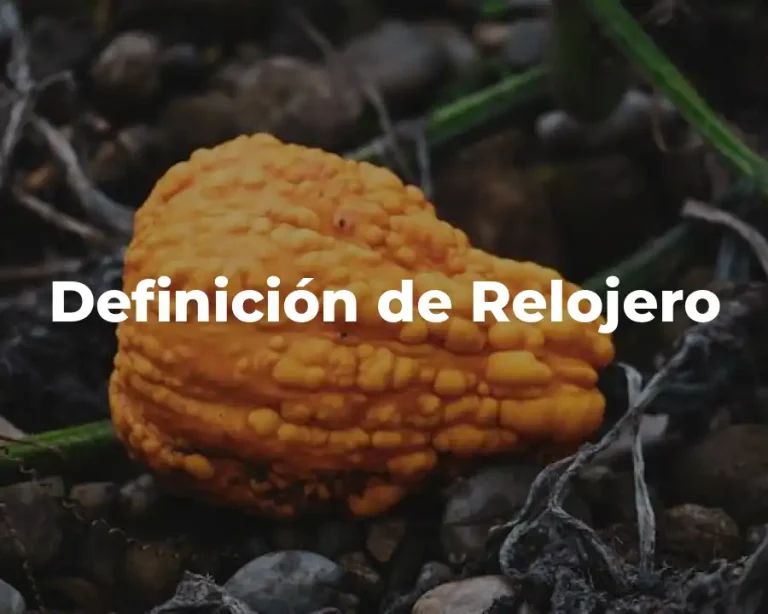 Definición de Relojero