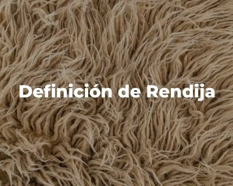 Definición de Rendija