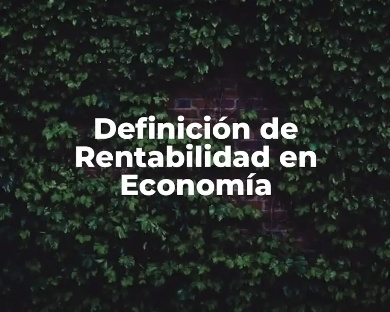Definición de Rentabilidad en Economía