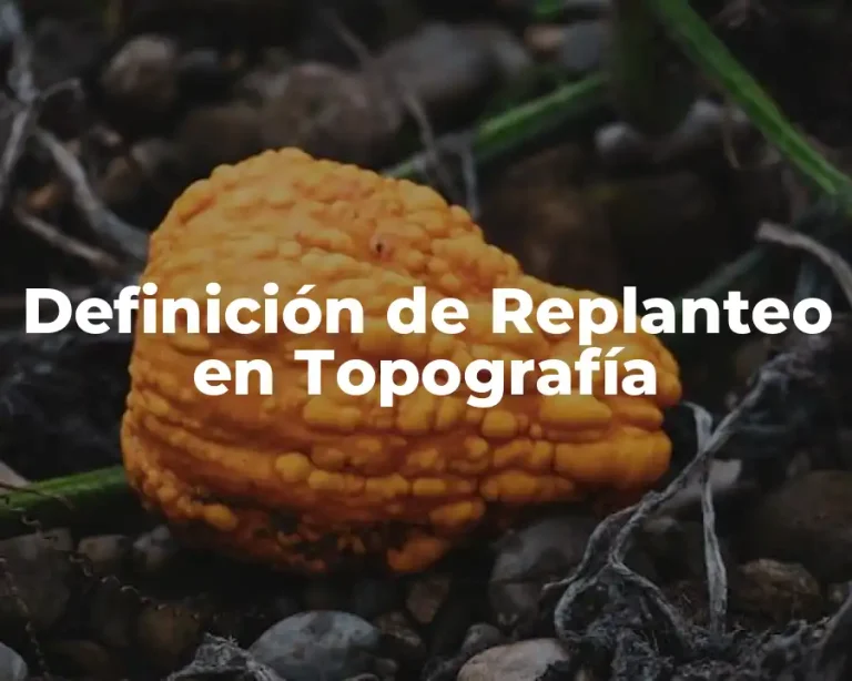 Definición de Replanteo en Topografía