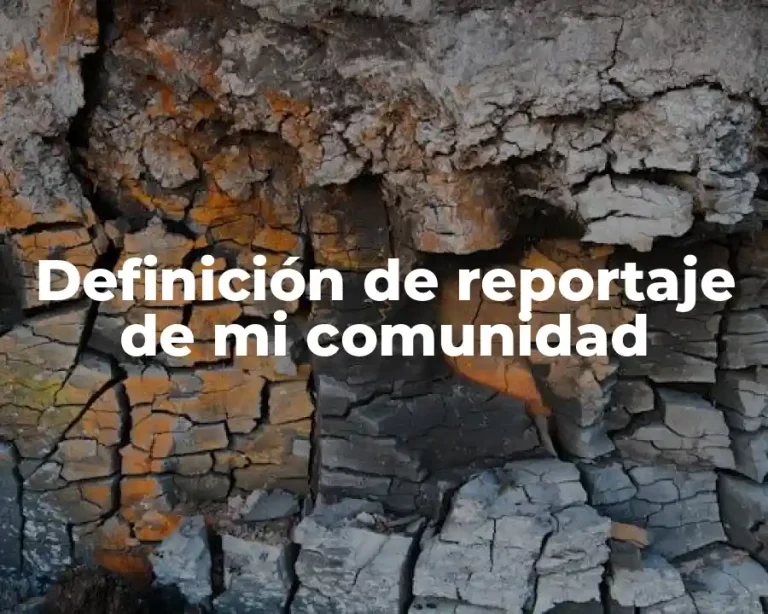 Definición de reportaje de mi comunidad