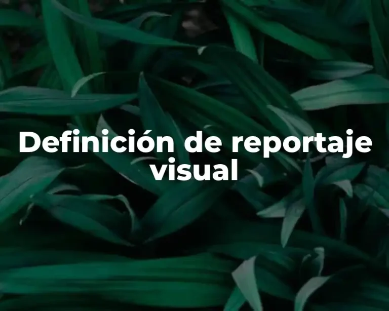Definición de reportaje visual