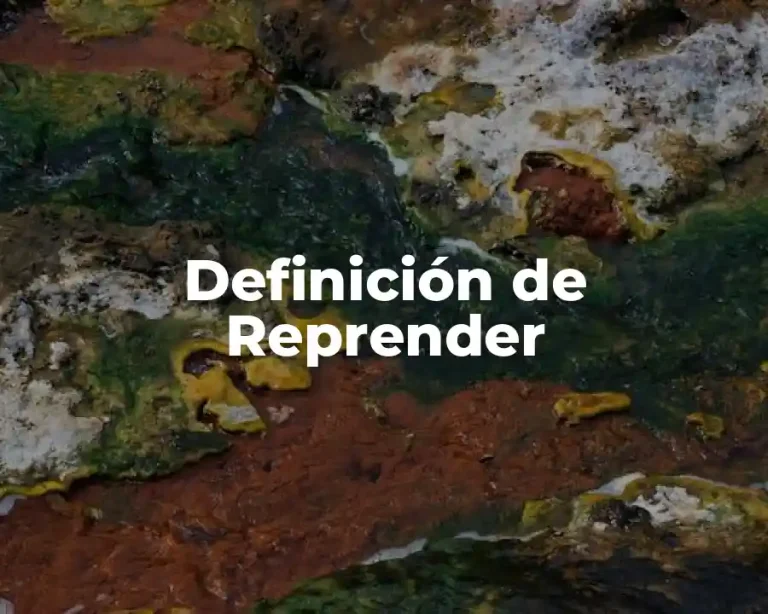 Definición de Reprender