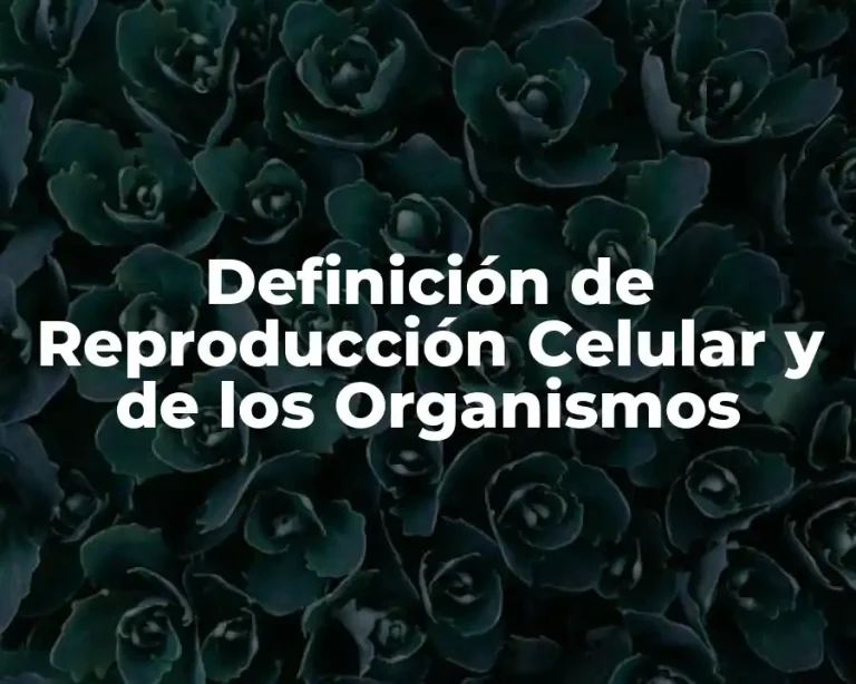 Definición de Reproducción Celular y de los Organismos