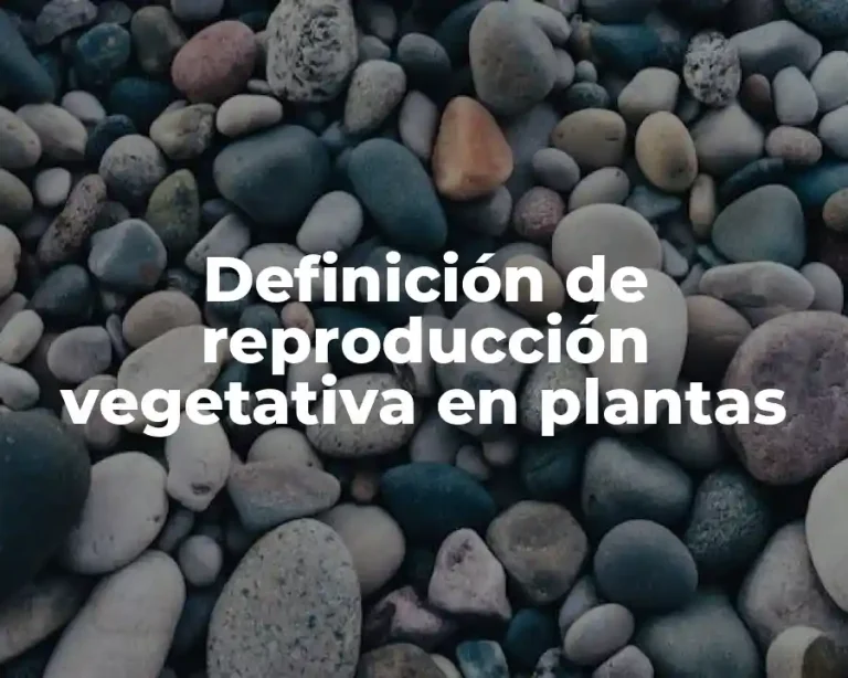 Definición de reproducción vegetativa en plantas
