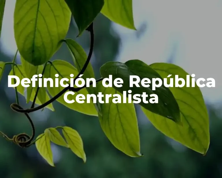 Definición de República Centralista