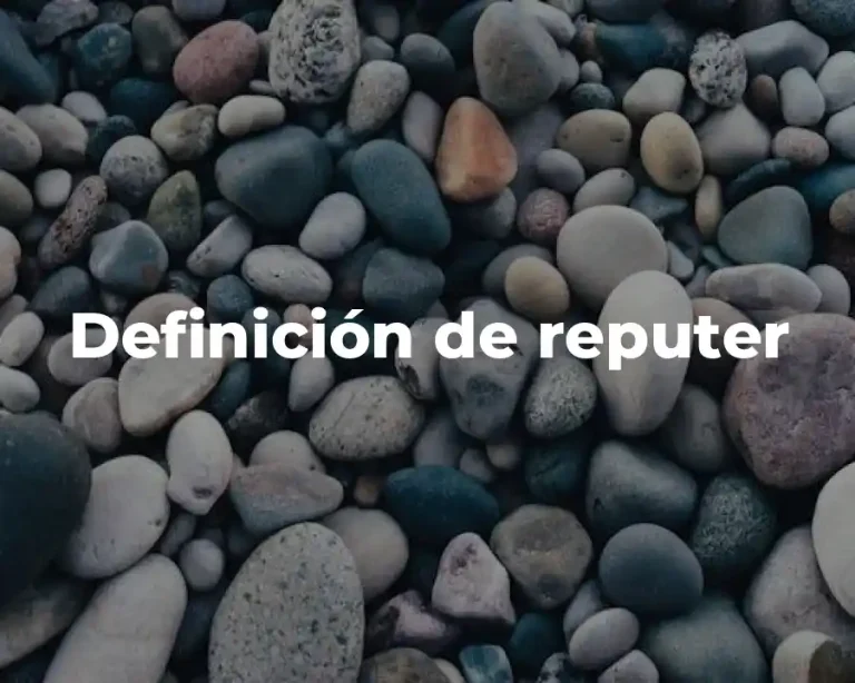 Definición de reputer