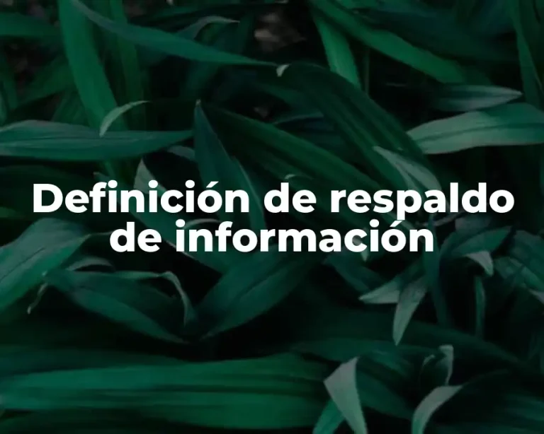 Definición de respaldo de información