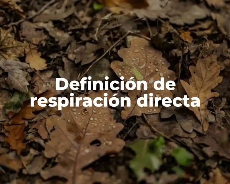 Definición de respiración directa